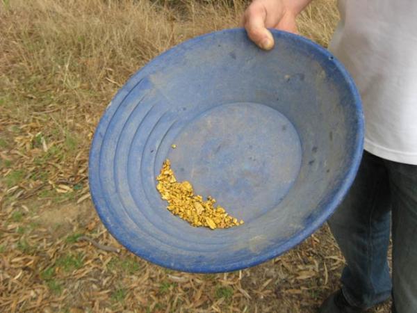 История золотодобычи в Австралии